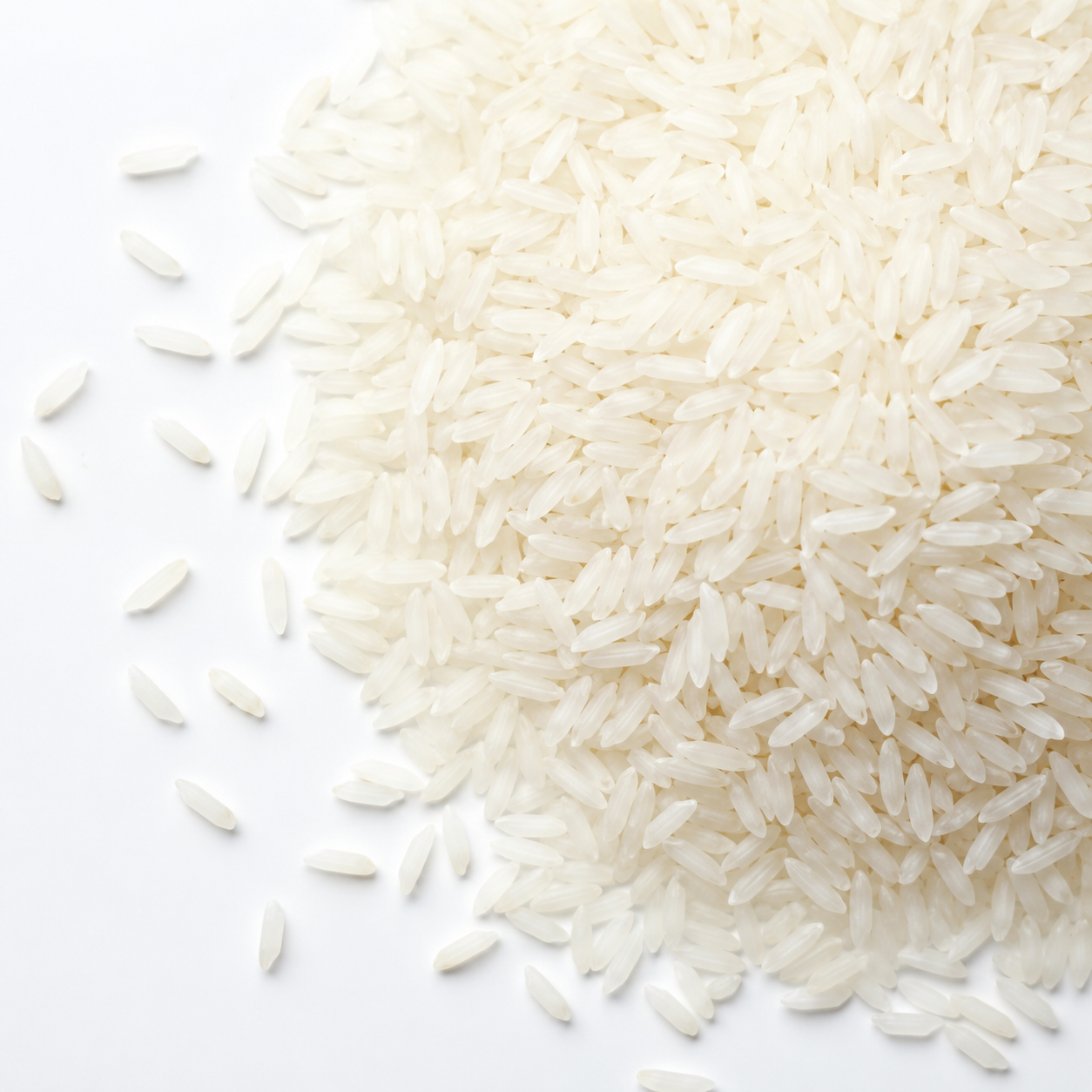 Raw rice grains close-up